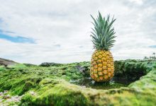 Ananas: proprietà e benefici
