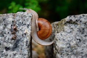 Significato resilienza